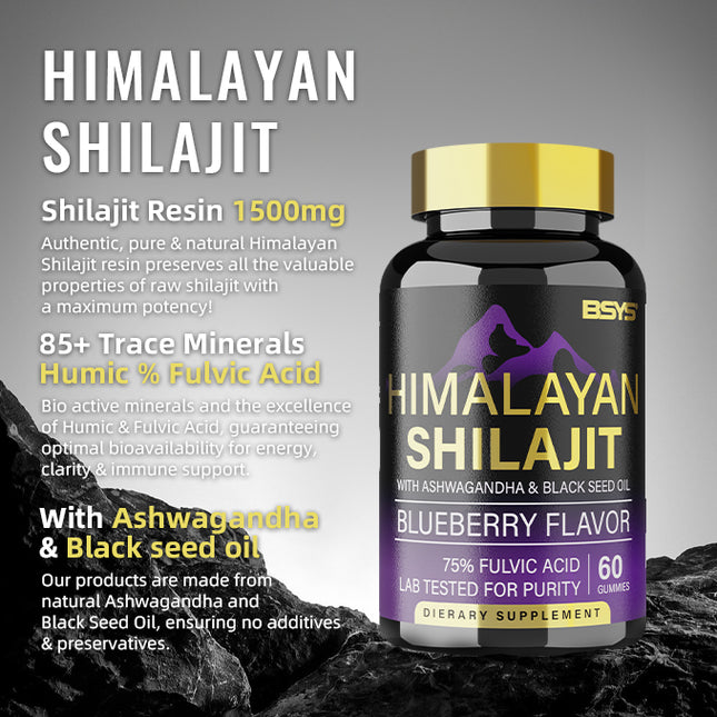 BSYS SHILAJIT GUMMIES 60'S — view 2