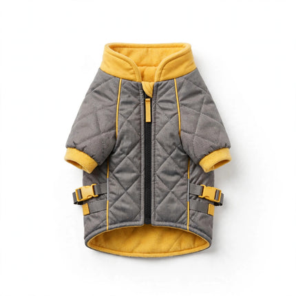 Gray yellow