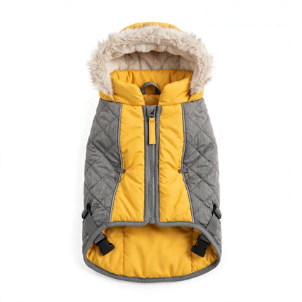 Gray yellow