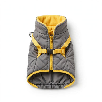 Gray yellow