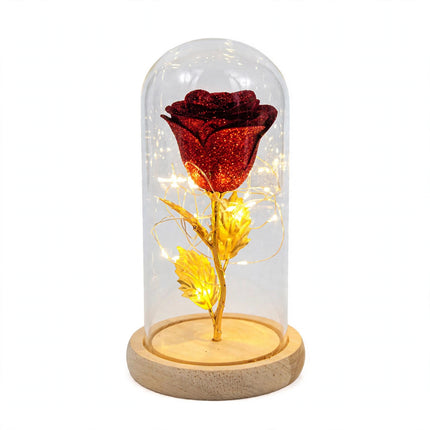 Gifts For Girlfriend Eternal Rose Flowers LED Light In Glass - White Background