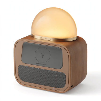 e29_chargerspeaker-g2.jpg