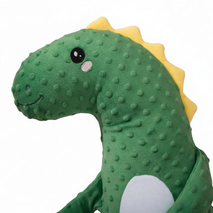 Baby Pillow - Green Dinosaur