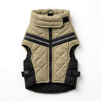Gray yellow