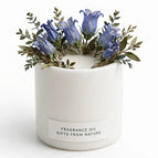 Blue Campanula / Yes