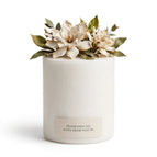 Gardenia / Yes