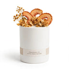 Honey Peach / Yes