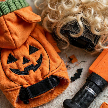 Halloween Pet Costume — view 4