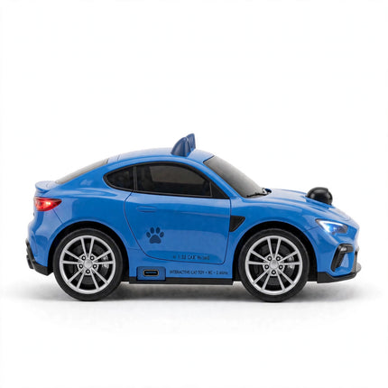 p12-g2.jpg