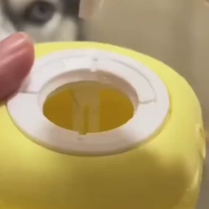 1.mp4